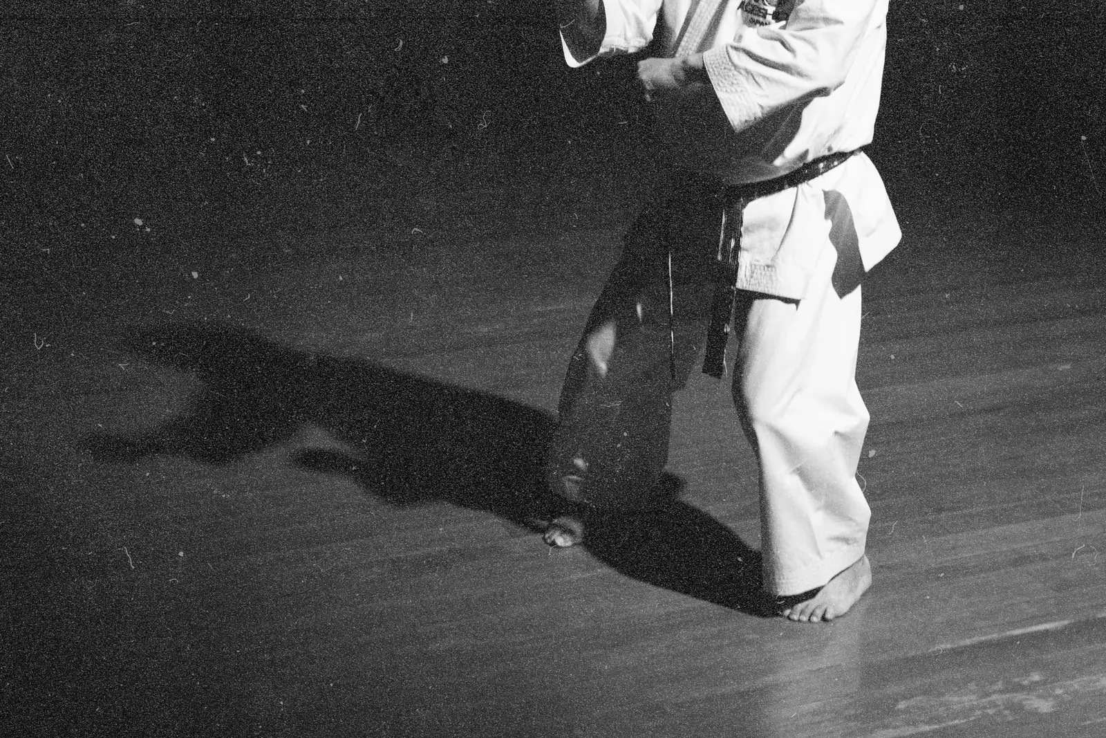 Karate training