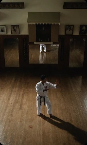 A lone karateka training in a dojo lined with master portraits